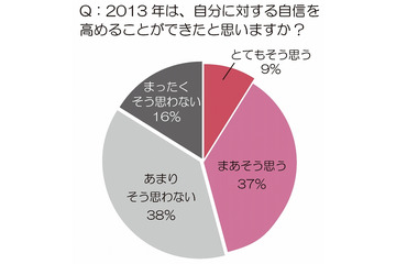 2013年「新年にかかげていた目標」、実現できた女性は半数未満 画像