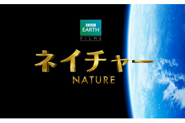 BBC EARTH、4KHD3Dカメラで撮影した迫力ネイチャードキュメンタリー GW公開 画像