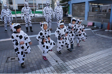 “国民の牛日”を制定……2月9日に 画像