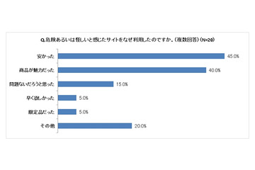 年末年始のネットショッピング、「サイトに危しさを感じた」4割「それでも利用」1割 画像