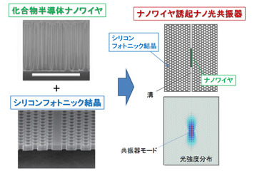 NTT、超小型光デバイス向けの新しい集積技術を開発……チップ内に高密度光ネットを導入可能に 画像