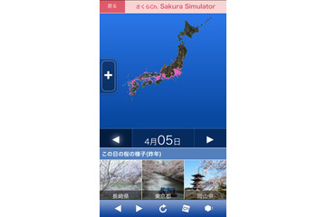 “未来”の桜開花状況もひと目でわかる「さくらシュミレーター」 画像