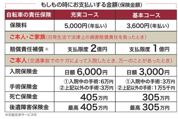 家族全員、2億円までしっかり補償する“自転車保険”とは? 画像