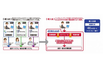 ドコモ・システムズ、クラウド型企業情報システム「dDREAMS」提供開始 画像