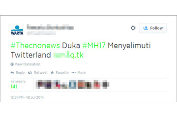 マレーシア機墜落に関する不審なツイート、Twitterに出現 画像