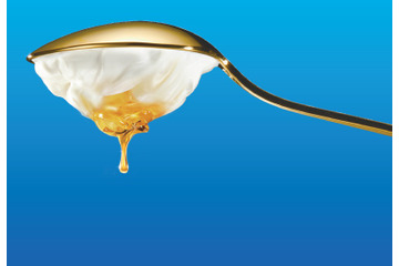 9月1日はギリシャヨーグルトの日…現地で体験 画像