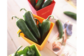 通常の野菜より栄養価の高い「機能性野菜」……高齢者が注目 画像