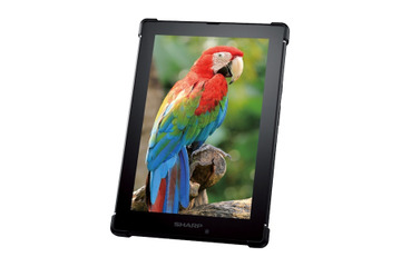 シャープ、次世代型MEMS-IGZOディスプレイ開発……7型タブレットを2015年発売 画像