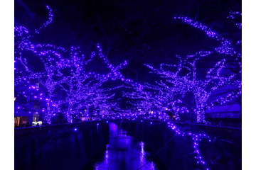 目黒川が「青の洞窟」に! 新たなイルミネーションイベントがスタート 画像