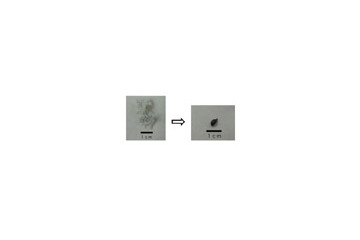 産総研、赤外線を使ってアスベストを溶融・無害化する技術を開発 画像