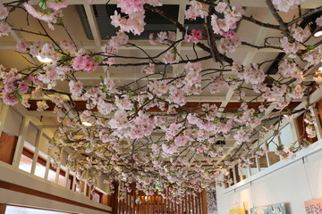 桜満開のスタバが出現! 上野公園内にひと足早い春 画像