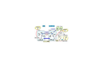 NEC、世界初となるマルチベンダ間における無線IP電話内線通話の実証実験を開始〜日本—シンガポール間で実施 画像