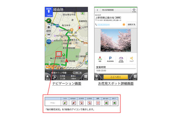 スマホアプリ「カーナビタイム」、桜の開花状況をリアルタイム提供 画像