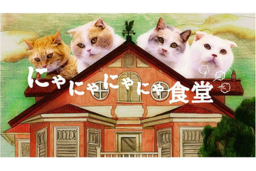 史上初の“ネコ語”ドラマ!? 人気声優が演じるもセリフはすべて「にゃにゃにゃ」 画像