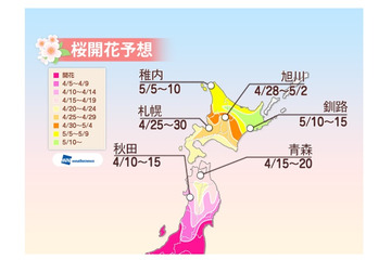 桜前線が東北に、北陸西部は今週末がお花見ラストチャンス 画像