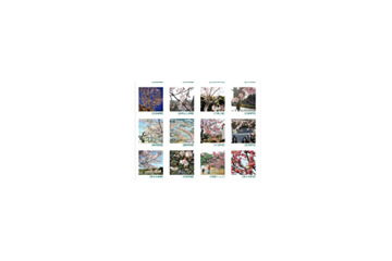 今年の見ごろはいつ？　「ニッポンの桜だより」がスタート 画像