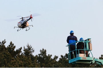 松くい虫防除で効果……空中散布 画像