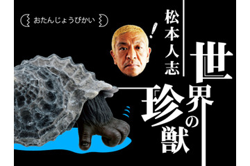 ガチャ「松本人志 世界の珍獣 第1弾」、リニューアルでAR技術を採用 画像