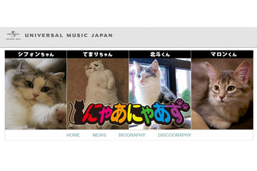 あなたの愛猫が歌手デビュー!?　猫の音楽ユニット・にゃあにゃあずが始動 画像