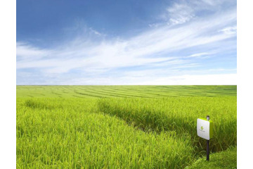 農業経営よりも作物作りにIoTを…「e-kakashi」の戦略 画像