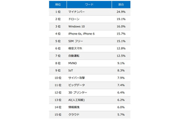 2015年注目ITワードランキング、“対応すべきリスク”に注目集まる 画像