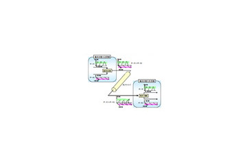 KDDI研究所、光OFDMを利用した100Gbps信号の長距離伝送実験に成功 画像