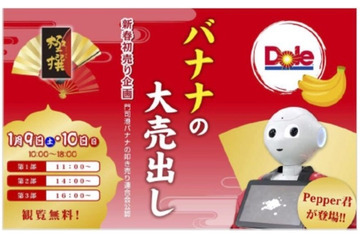 1日で10万円達成できる？ Pepperがバナナの“叩き売り”実践へ 画像