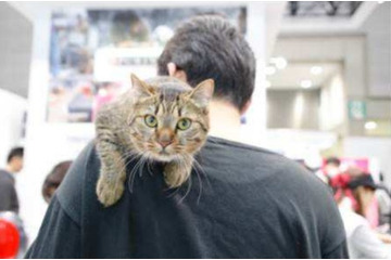 【プレゼント】ペット関連産業の大規模イベント「Interpets」招待券を10組20名に！ 画像
