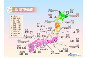 桜の開花予想、東京が全国に先駆けて開花 画像