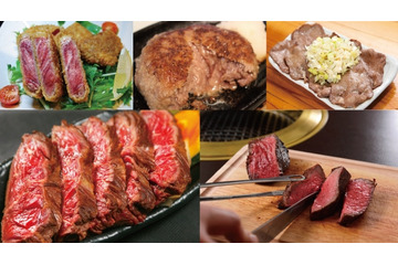 「肉フェス」がGWに帰ってくる!お台場、福岡、静岡で同時開催 画像