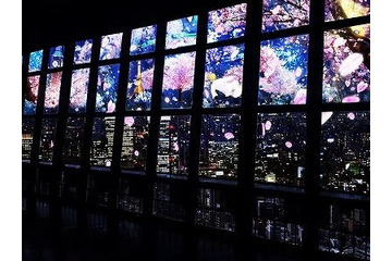 プロジェクションマッピングで“夜桜”見物、東京タワーで開催 画像