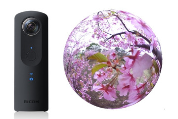 花見ピーク目前!360度「桜のライブ動画」でバーチャルお花見 画像