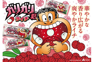 「ガリガリ君」にライチ初登場、キウイも復活 画像