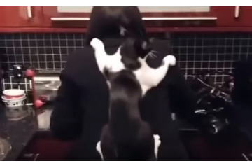 【動画】料理中のママにかまって欲しい!? 隙を狙って…猫ちゃんは… 画像