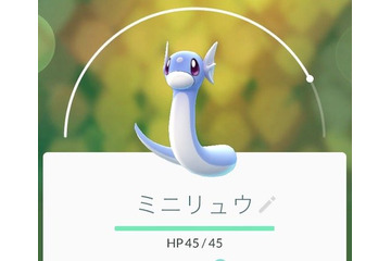 東京・世田谷公園、「ポケモンGO」によるトラブル多発 画像