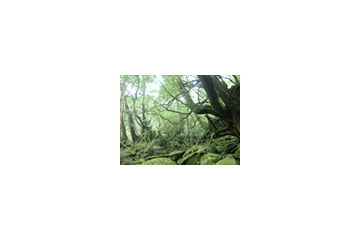 屋久島旅行やAQUOSが当たる！　TSUTAYAでeco感想文コンクール開催 画像