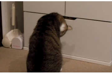 【動画】引き出しを開けると……中には! 画像
