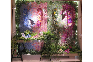 テレム×プランティカのフラワー柄スニーカー「ペタル」発売 画像