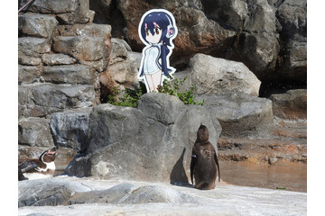 東武動物公園×けもフレのコラボ企画に追加情報なのだ!フルル役の築田行子出演の動物ガイドなど 画像