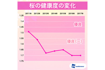 日本の桜が危ない?!健康度は昨年に続き過去最悪を継続 画像