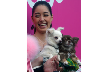 森泉、ペット20匹と暮らす家を番組で自腹購入!4000万円を即決! 画像