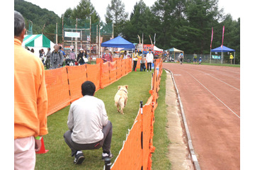 【八ヶ岳ドッグフェスタ　Vol.2】来場者が増加中！愛犬と楽しみ、犬について学んだ2日間 画像