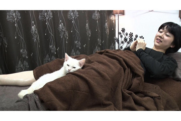 看板ネコに会いに行く!『生き物にサンキュー』今夜放送 画像