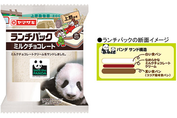上野動物園のシャンシャンとコラボしたランチパックが登場 画像