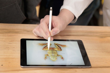 Apple Pencil対応の新しいiPad登場……9.7型で37,800円から 画像