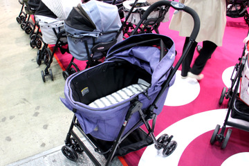 【Interpets（インターペット） 2018】小型犬なら2頭までOK！軽量タイプのペットカート 画像