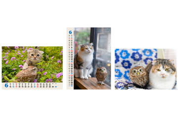 フクとマリモの厳選ショットがローソンプリントで！ 画像