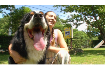 飼い主にそっくり?長嶋一茂、大久保佳代子、土屋アンナが愛犬と3人3匹の珍道中 画像