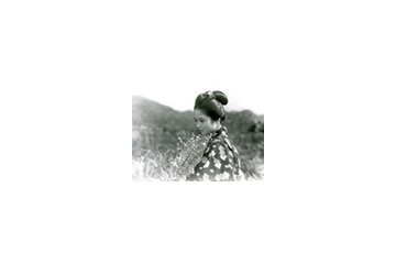 民さんは野菊のようだ〜「野菊の如き君なりき」など木下恵介監督特集 画像