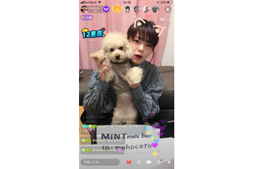 SNS初バンド「MINT mate box」のmahocatoがライブ配信で記録!最速で10万いいねを達成 画像